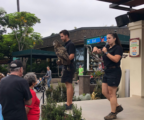 What to Do at the San Diego Zoo with a Toddler